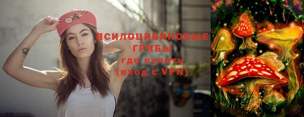 прущие крисы Ельня