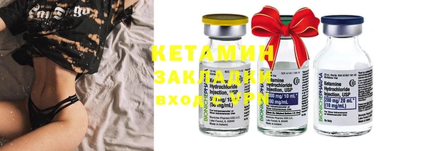 прущие крисы Ельня