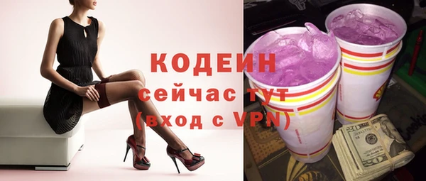 прущие крисы Ельня