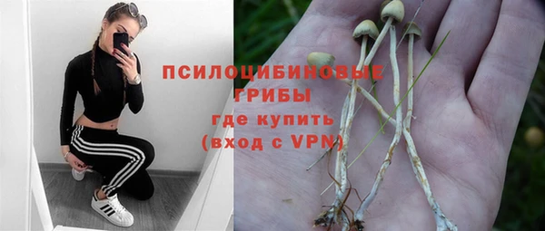 бошки Дмитровск
