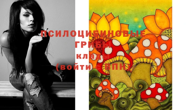 каннабис Елизово