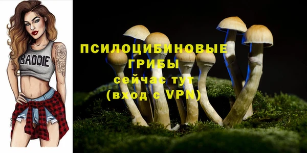 mdma Елабуга