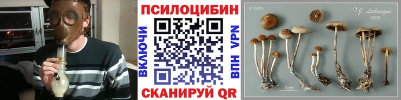 Галлюциногенные грибы Magic Shrooms  ссылка на мегу ТОР  Дно 